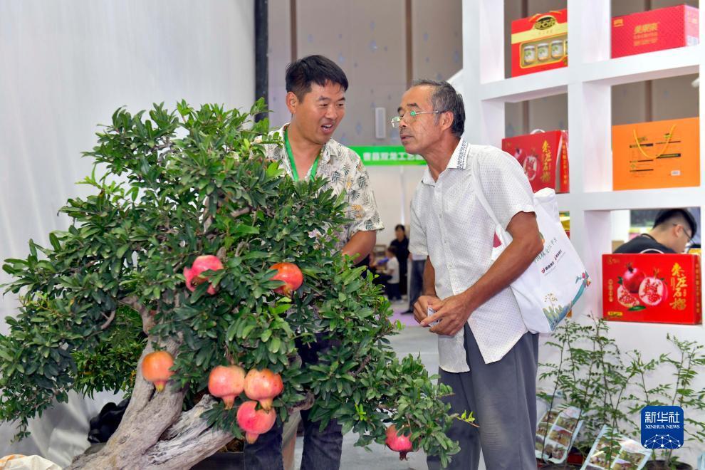 百老汇4001在线下载