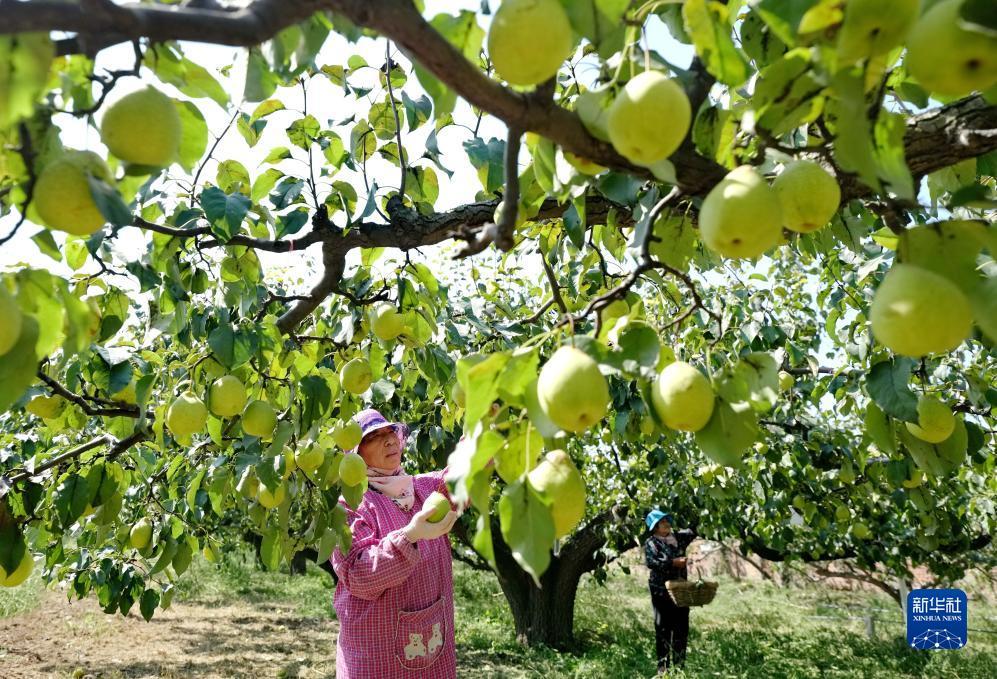 乐玩游戏官方下载
